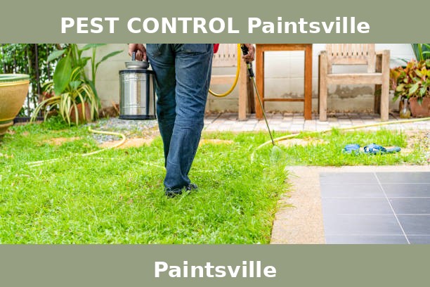 PEST CONTROL Paintsville